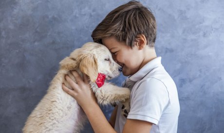 Restaurant animaux acceptés